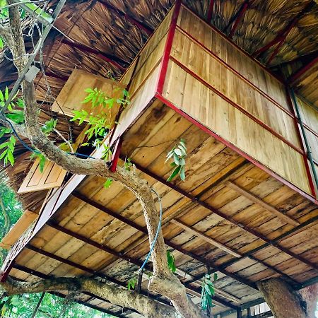Muong Retreat- Nghi Duong Xanh Trong Bao Tang Van Hoa Nghe Thuat,Hoa Binh Hotel Екстериор снимка